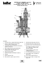 Предварительный просмотр 102 страницы baltur BGN 100 P Instruction Manual