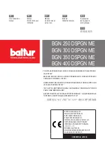 baltur BGN 250 DSPGN ME User Instruction Manual предпросмотр