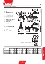 Preview for 31 page of baltur BGN 250 DSPGN ME User Instruction Manual