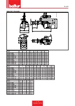 Preview for 13 page of baltur BGN 300 LX Installation, Use And Maintenance Instruction Manual