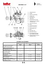 Предварительный просмотр 4 страницы baltur BGN 40 DSPGN Instructions Manual