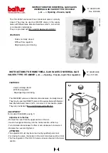 Предварительный просмотр 25 страницы baltur BGN 40 DSPGN Instructions Manual