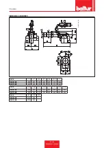 Предварительный просмотр 12 страницы baltur BGN 450 ME Installation, Use And Maintenance Instruction Manual