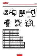 Preview for 13 page of baltur BPM 10 Instruction Manual For Installation, Use And Maintenance