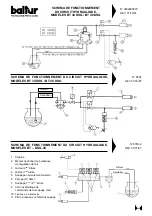 Preview for 66 page of baltur BT 100 DSG Instruction