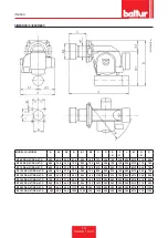 Preview for 10 page of baltur BT 100 DSN 4T Installation, Use And Maintenance Instruction Manual