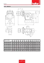 Preview for 50 page of baltur BT 100 DSN 4T Installation, Use And Maintenance Instruction Manual