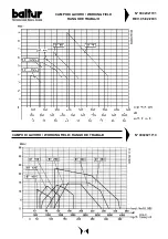 Preview for 9 page of baltur BT 100 DSN-4T Instruction