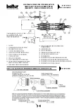 Preview for 16 page of baltur BT 100 DSPN /D Instruction For Burners Model