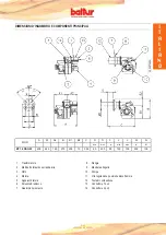 Предварительный просмотр 9 страницы baltur BT 14 DSGW Instruction