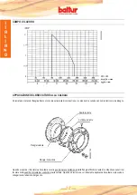 Предварительный просмотр 10 страницы baltur BT 14 DSGW Instruction