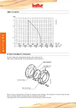 Предварительный просмотр 22 страницы baltur BT 14 DSGW Instruction