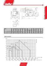 Preview for 9 page of baltur BT 17 SPN Manual Instructions For Use