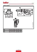 Preview for 11 page of baltur BT 17N Instruction Manual For Installation, Use And Maintenance