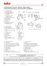 Preview for 15 page of baltur BT 250 DSG-4T Instruction