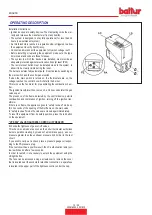 Preview for 40 page of baltur BTG 12 Instruction Manual For Installation, Use And Maintenance