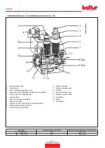 Preview for 56 page of baltur BTG 15 Instruction Manual For Installation, Use And Maintenance