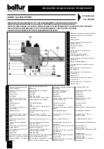 Preview for 86 page of baltur BTG 20 LX Instruction