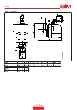 Preview for 12 page of baltur BTG 3,6P Instruction Manual