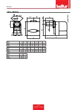 Предварительный просмотр 36 страницы baltur BTL 3 User Instruction Manual