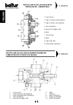 Preview for 12 page of baltur GI 1000 DSPN-D Instructions Manual