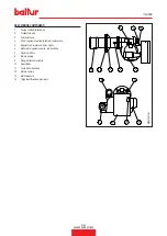 Preview for 11 page of baltur GI 350 DSPG Installation, Use And Maintenance Instruction Manual
