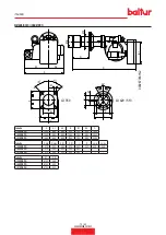 Preview for 12 page of baltur GI 350 DSPG Installation, Use And Maintenance Instruction Manual