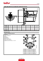 Preview for 25 page of baltur GI 350 DSPG Installation, Use And Maintenance Instruction Manual