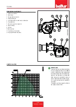 Preview for 10 page of baltur GI 500 MC Installation, Use And Maintenance Instruction Manual