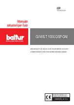 baltur GI MIST 1000 DSPGM Instruction Manual preview