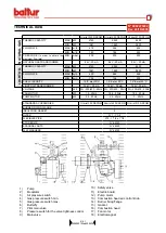 Preview for 4 page of baltur GI MIST 350 DSPGM Instruction