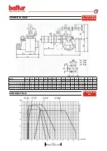 Preview for 5 page of baltur GI MIST 350 DSPGM Instruction