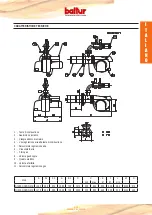 Preview for 7 page of baltur GI Series Instruction