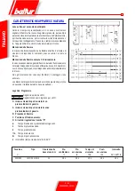 Preview for 10 page of baltur RINOX 190 L2 Manual Instructions For Use