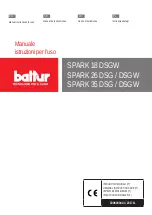 baltur Spark 18 DSGW Manual Instructions For Use preview