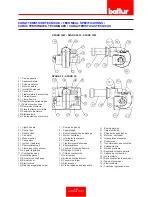 Preview for 9 page of baltur SPARK 18 W DACA Manual Instructions For Use