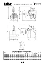 Preview for 10 page of baltur SPARKGAS 20 - 20W Instruction