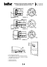 Preview for 15 page of baltur SPARKGAS 20 - 20W Instruction