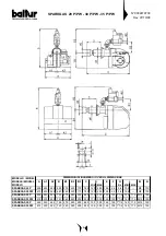 Preview for 9 page of baltur SPARKGAS 20P - 20PW Instruction