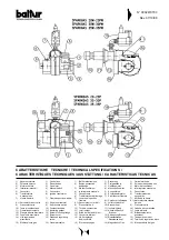 Preview for 10 page of baltur SPARKGAS 20P - 20PW Instruction