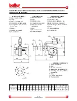 Предварительный просмотр 16 страницы baltur SPARKGAS 30 LX Instruction