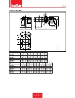 Preview for 13 page of baltur TBG 120 MC Installation, Use And Maintenance Instruction Manual