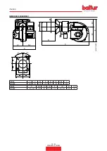 Preview for 12 page of baltur TBG 35P Instruction Manual For Installation, Use And Maintenance