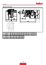 Preview for 12 page of baltur TBG 45 MC Instruction Manual For Installation, Use And Maintenance