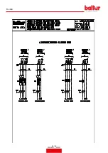 Preview for 42 page of baltur TBG 450LX MC Instruction Manual For Installation, Use And Maintenance