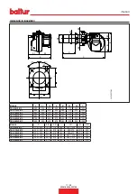 Preview for 13 page of baltur TBG 80 LX MC Instruction Manual