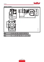 Preview for 12 page of baltur TBG 85P Instruction Manual For Installation, Use And Maintenance