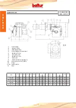 Preview for 8 page of baltur TBL 45P Instructions Manual