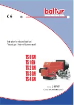 Preview for 1 page of baltur TS 0 GN Instructions Manual