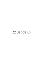 Предварительный просмотр 2 страницы Bandalux RTS-IO Somfy General Programming